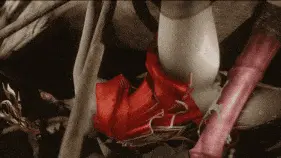 6ac5096a25af38.47409873.gif