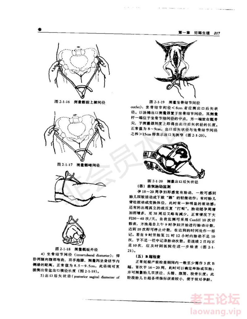 中华妇产科学_232.jpg