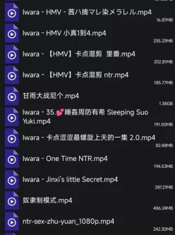 [自行打包] 自己收藏的mmd(三十四)--绝大多数是ntr [28V+10.49G][百度盘]